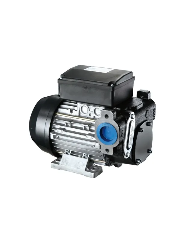 Solo Por Tiempo Limitado BOMBA ELECTRICA PARA TRASVASE DE GASOIL 220V 60L/MIN