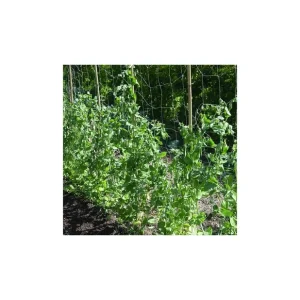 Imprescindible (Must-Have) MALLA ENTUTORAR TRELLINET BIO 20x20cm 1,85x5m