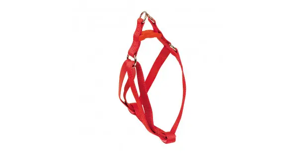 Arnes basic 45-60 x 2,5 cm rojo Exclusivo