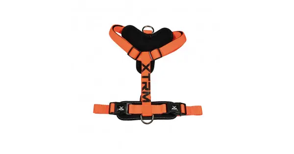 Más Vendido Arnes x-trm cronos neon flash 35-60 x 1,5 cm naranja