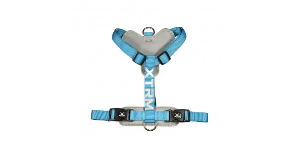 Arnes x-trm cronos neon flash 35-60 x 1,5 cm azul Oferta De Temporada
