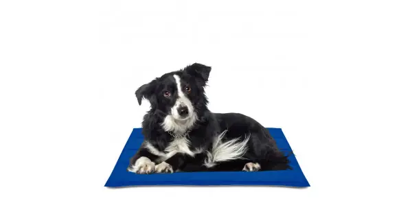 Alfombrilla refrescante cool mat gel azul 50 x 90 cm Pago Seguro