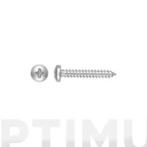 TIRAFONDO CHAPA 7981 4,2X 6,5 Lujoso