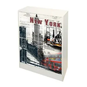 Solo Por Tiempo Limitado ZAPATERO DECORADO NEW YORK