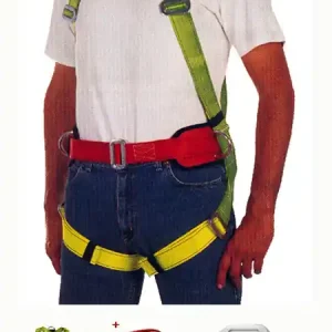 Imprescindible (Must-Have) ARNES CON CINTURON ECOSAFEX REF: 031.032.001.001
