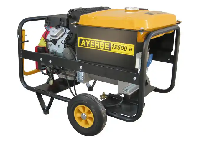 Garantía De Devolución De Dinero GENERADOR AYERBE 12500 H TX A/E TRIFASICO 5418060