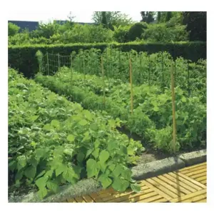 A Buen Precio MALLA ENTUTORAR TRELLINET BOP35 2 X 10 M