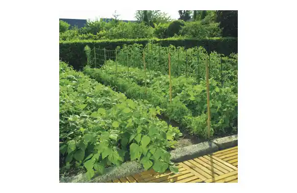 A Buen Precio MALLA ENTUTORAR TRELLINET BOP35 2 X 10 M