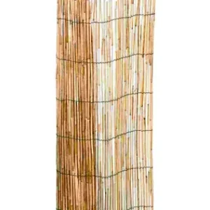 CAÑIZO BAMBU PELADO 1X5 M Compra Hoy