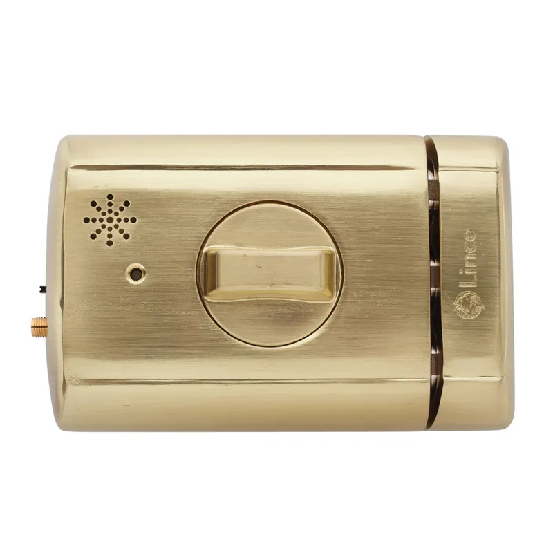 CERROJO ELECTRONICO 4940TK INVISIBLE 110+26X87X35MM DORADO Promoción