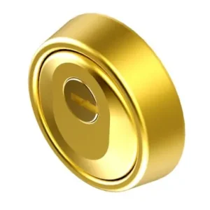 ESCUDO CILINDRO HOPLON Ø 65X24/17MM ALTA SEG. BICAPA ORO LIN Alta Calidad