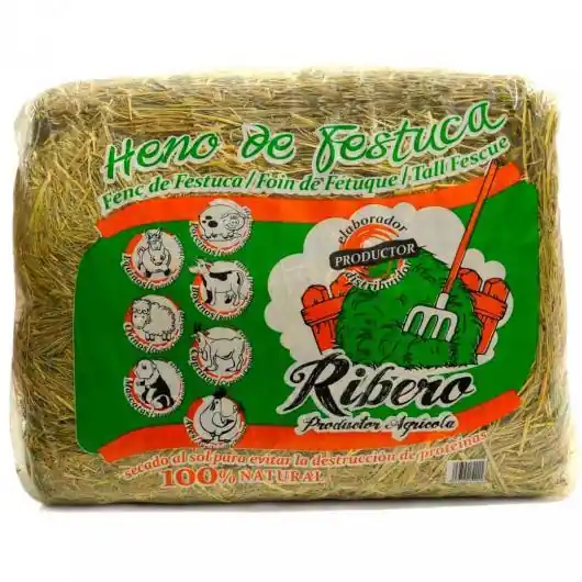 Heno de Festuca Conejos y Roedores 5 kg Lujoso
