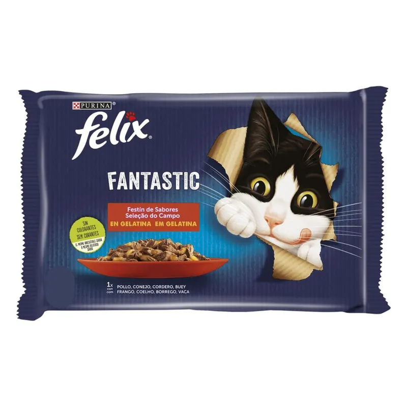 Promoción Exclusiva FELIX Fantastic Festín de Sabores en Gelatina 12 x 85 g