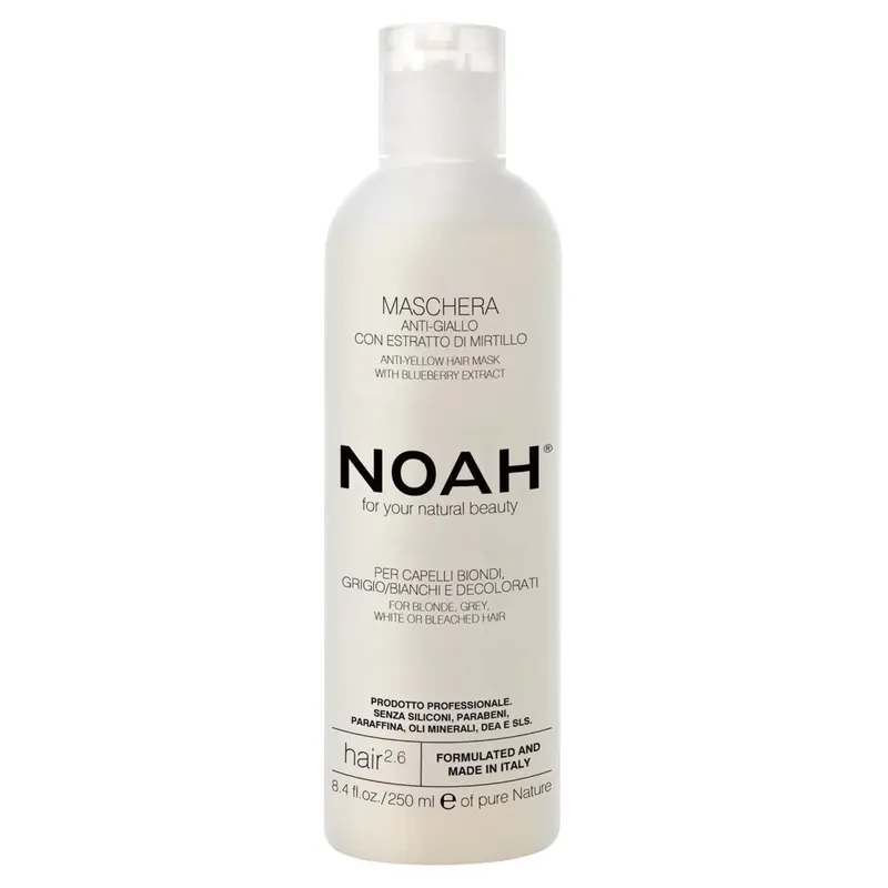Mascarilla capilar antiamarillo con extracto de arándano azul Noah 250 ml Solo Hoy