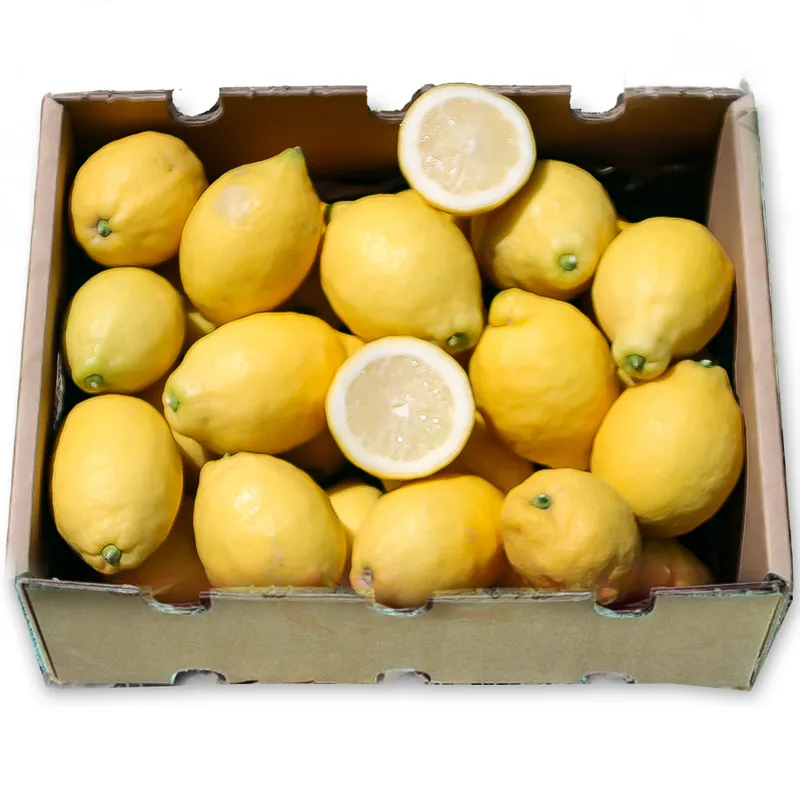 Limones de Temporada Directos Del Árbol Tropitop 9kg Ocasión Especial