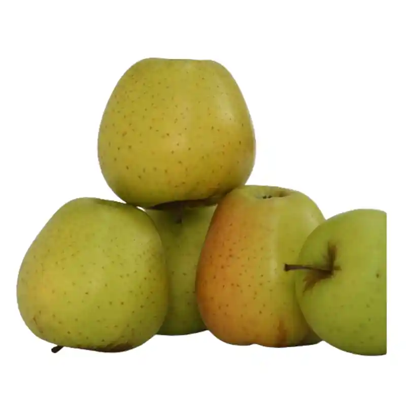 Promoción Exclusiva Manzana Golden. Caja de 10 kilos