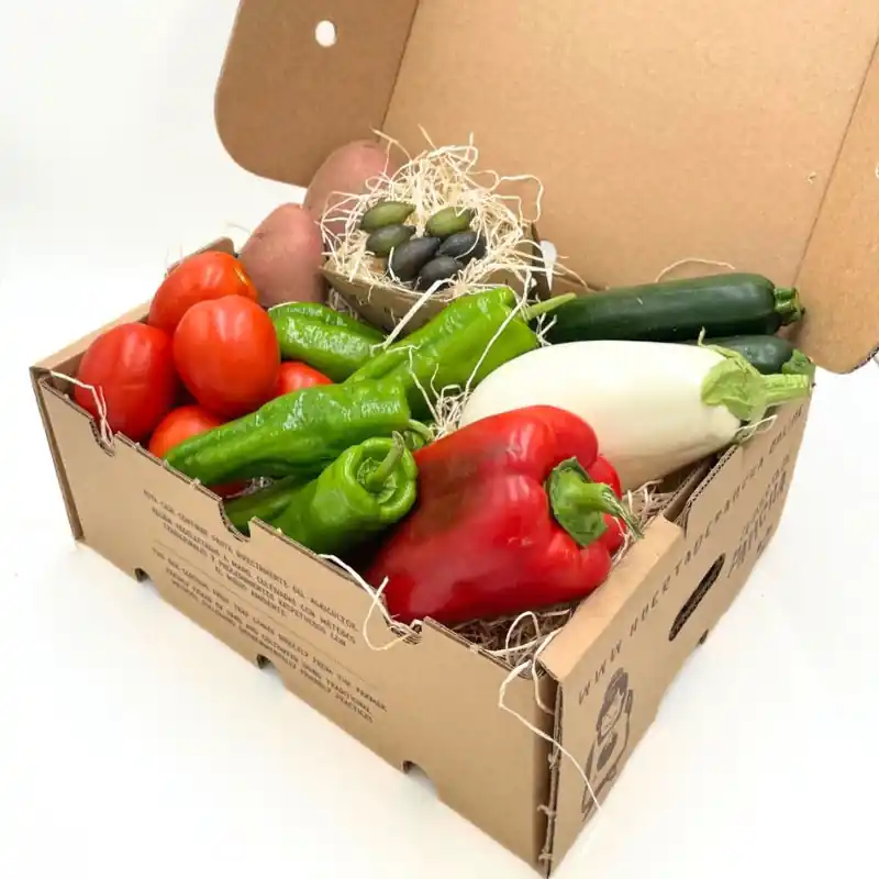 Oferta Cesta Verduras Gourmet 5 KG del campo a casa