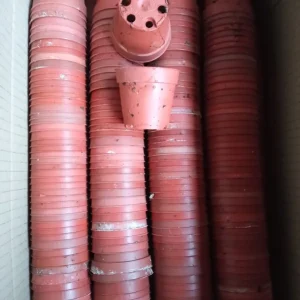 Lote 10 Macetas Usadas Para Cactus 5'5 Cms Mayoreo
