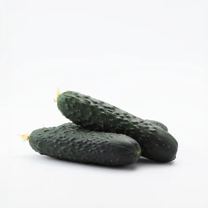 Pepinos directos desde el campo 1/2 Kg Precio De Fábrica
