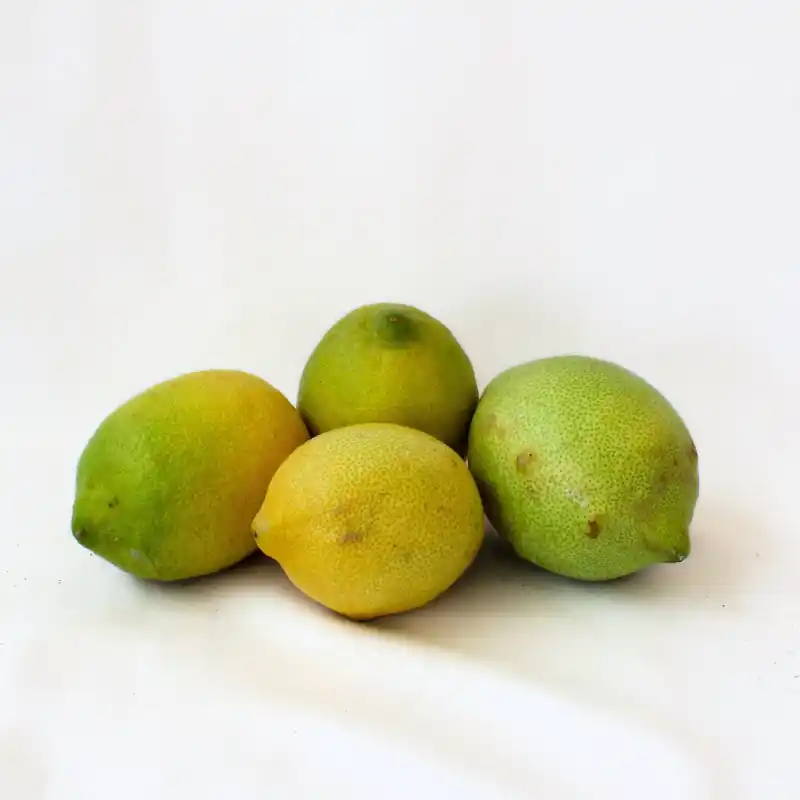 Limones De Verano de Málaga 1/2 Kg Compra Hoy