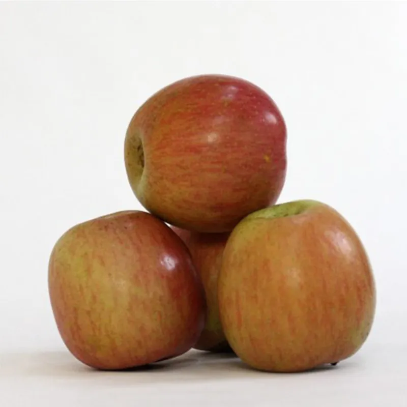 Manzana Fuji Del Bierzo. Caja 10 Kg Más Vendido