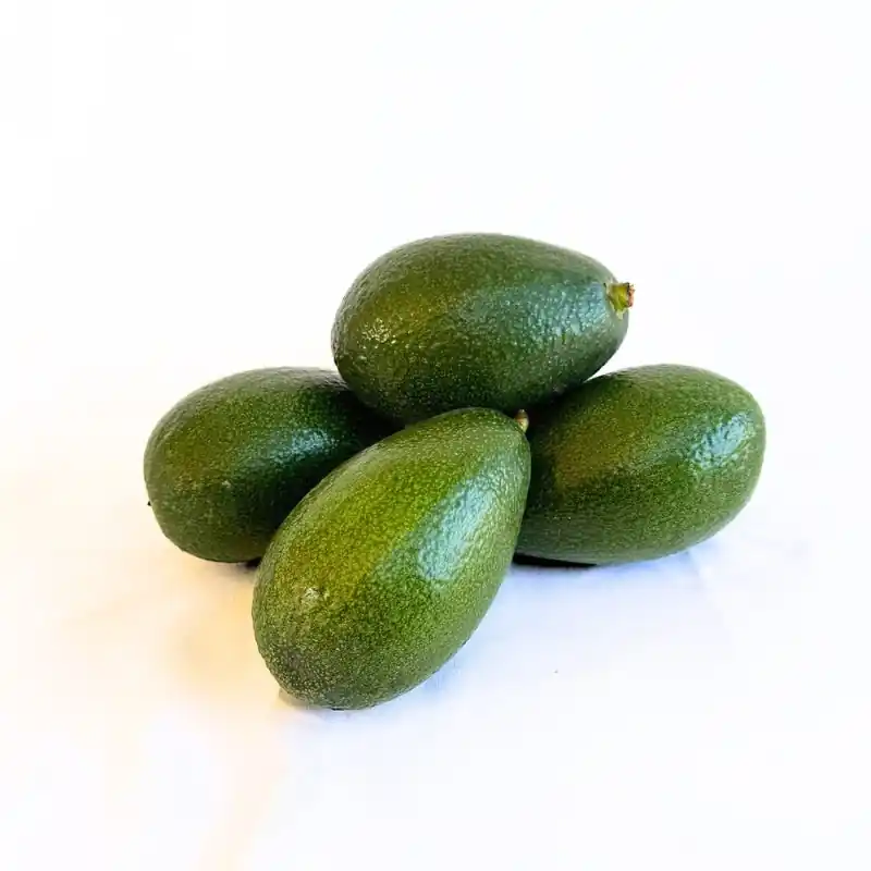 Envío Inmediato Aguacates Bacon Bio de Málaga* 1/2 Kg