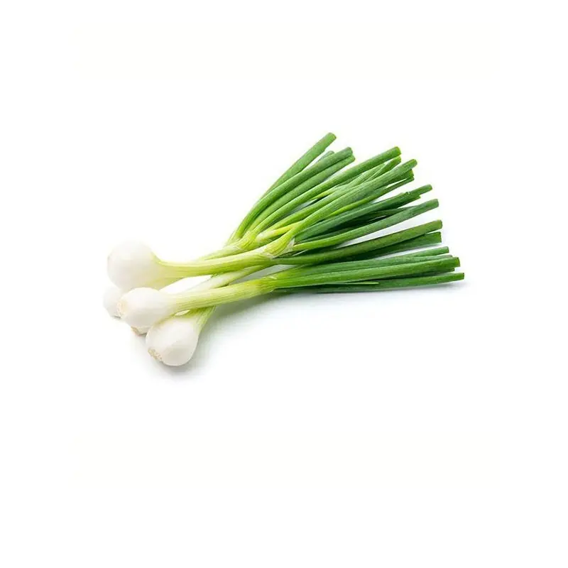 Imprescindible (Must-Have) Cebolleta Blanca Fresca De Conil. 1 KG