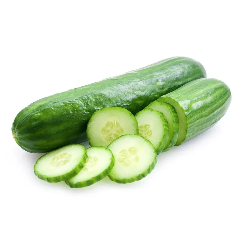 Pepino De Conil. 1 KG Directo De Fábrica