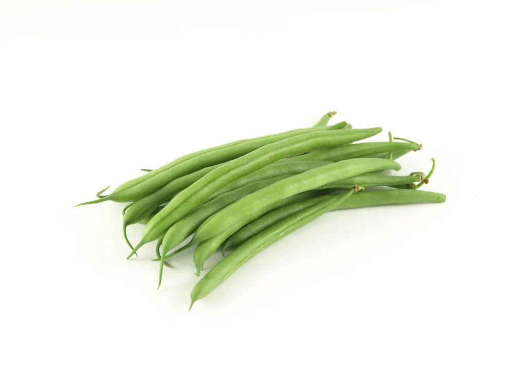Judia Estrecha Redonda De Conil. 1/2 KG Oferta Limitada
