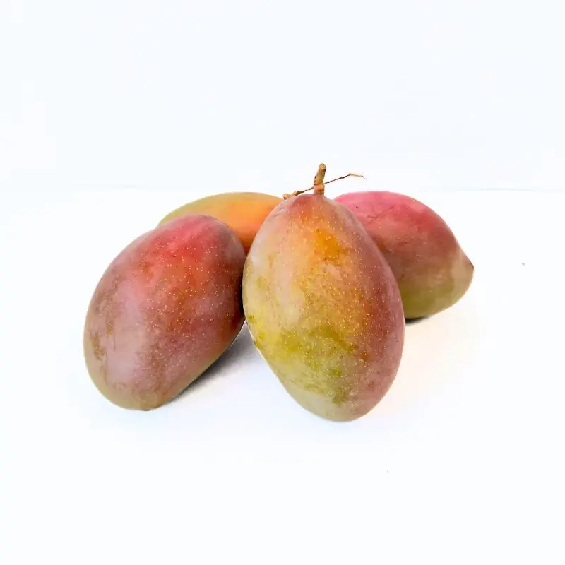 Precio De Fábrica Mangos Osteen del campo a casa 1/2 Kg