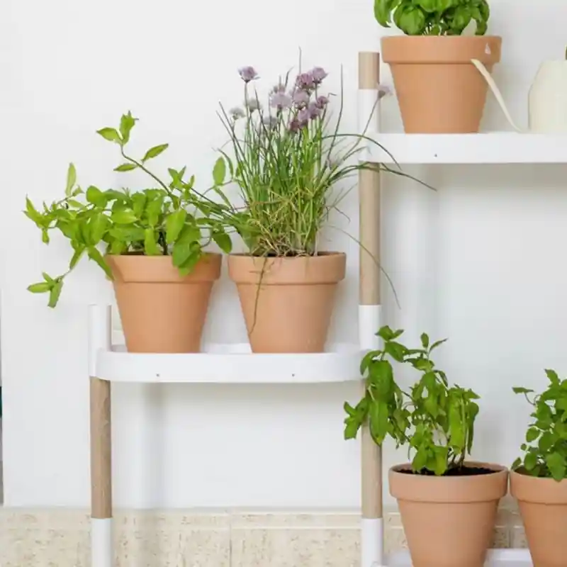 Kit Huerto En Casa Citysens: Soporte Para Macetas Blanco + Macetas + Sustrato + Semillas + Guía De Cultivo Moderno