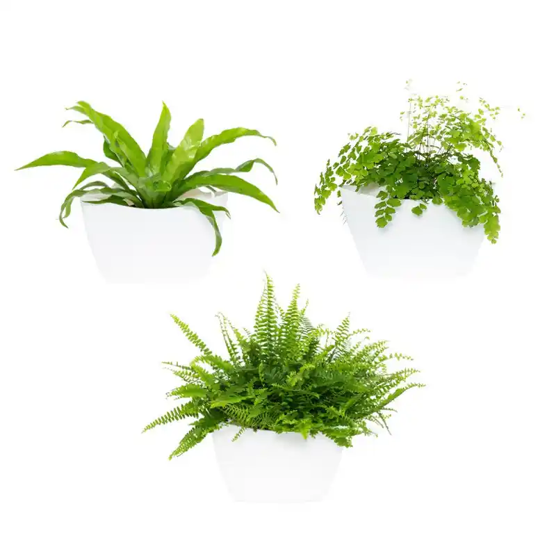 Jardín Vertical Modular Citysens Con Riego Automático De 3 Maceteros – Blanco, Polipropileno 100% Reciclado Nuevo Modelo