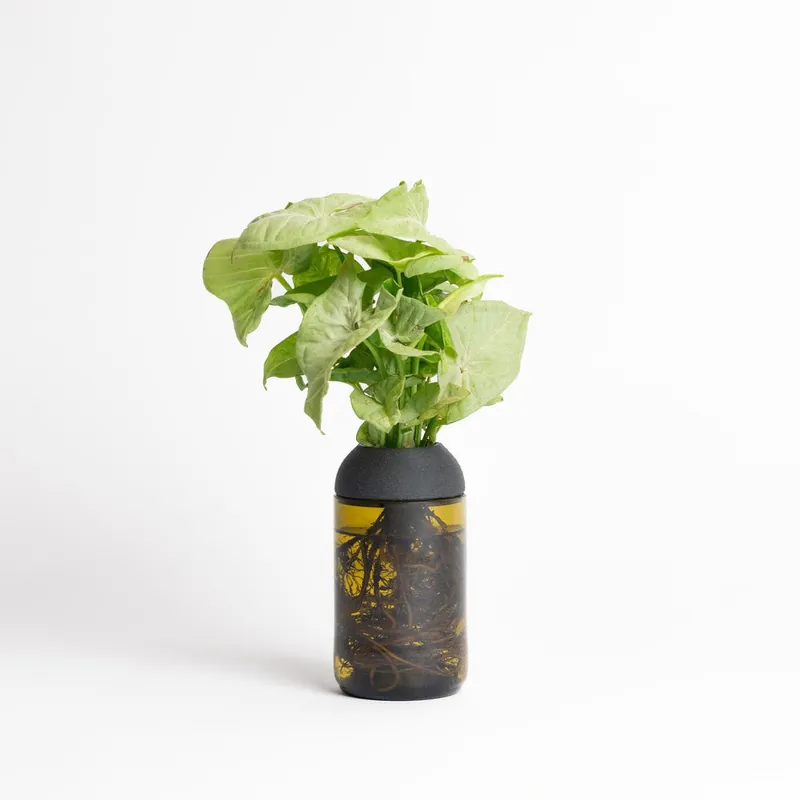 Macetero Transparente Citysens Con Soporte De Ébano – Ámbar, Vidrio Reutilizado Y Biofilamento Con Madera Impreso En 3d Venta Final