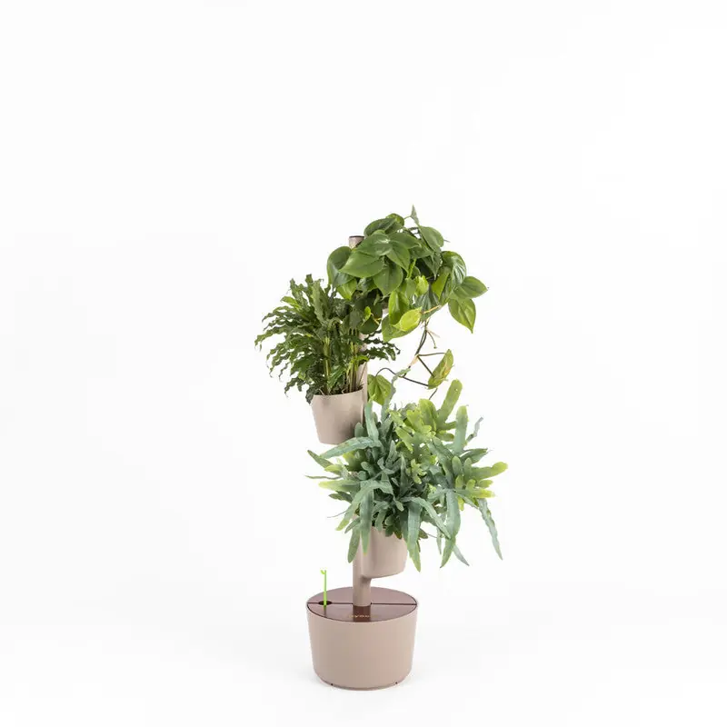 Huerto Vertical De Interior Citysens; Color Corteza De Pino; 3 Macetas; Incluye Kit De Semillas De Plantas Aromáticas Entrega Rápida