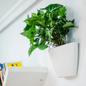 Nueva Colección Jardín Vertical Modular Citysens Con Riego Manual De 6 Macetas – Blanco, Polipropileno 100% Reciclado