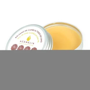 Precio Rebajado Bálsamo All-in One De Camelia