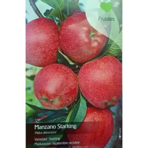 Arbol Frutal De Manzano Starking M22 130cm (manzana Roja) Comprar En Línea
