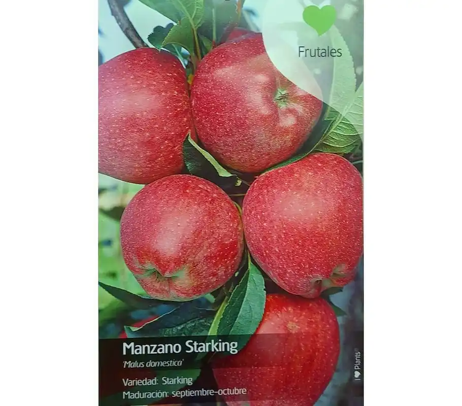 Arbol Frutal De Manzano Starking M22 130cm (manzana Roja) Comprar En Línea