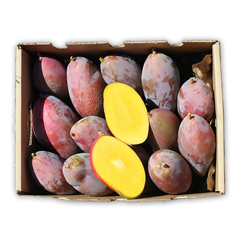 Mangos Ecológico Osteen Caja De 2kg Promoción