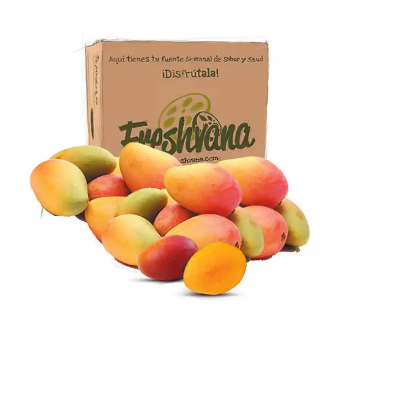 Caja De Mango Osteen Ecológico Freshvana 4 Kg Compra Ahora