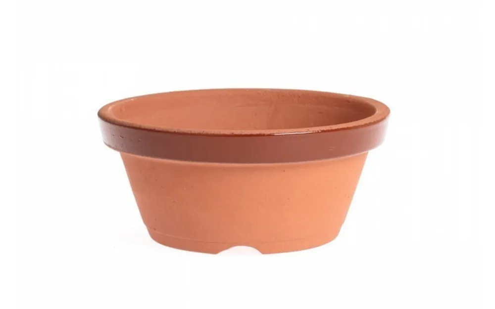 Favorito De Clientes Maceta De Entrenamiento Japonesa Para Bonsái Nº 3.5 (10.5cm) Bonsaigranada