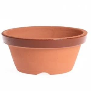 Oferta Especial Maceta De Entrenamiento Japonesa Para Bonsái Nº 4 (12.5cm) Bonsaigranada