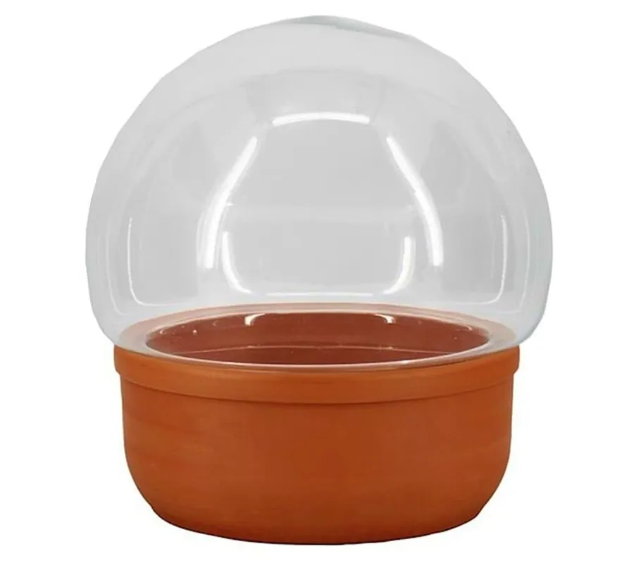 Garantía Incluida Terrario Bola Cuenco Diámetro 25cm Altura 23.5cm