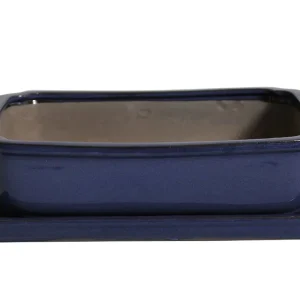 Tiesto Laxe Azul Con Plato 31x25x9cm De Moda
