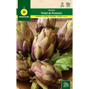 A Buen Precio Semillas Alcachofa Violet De Provence