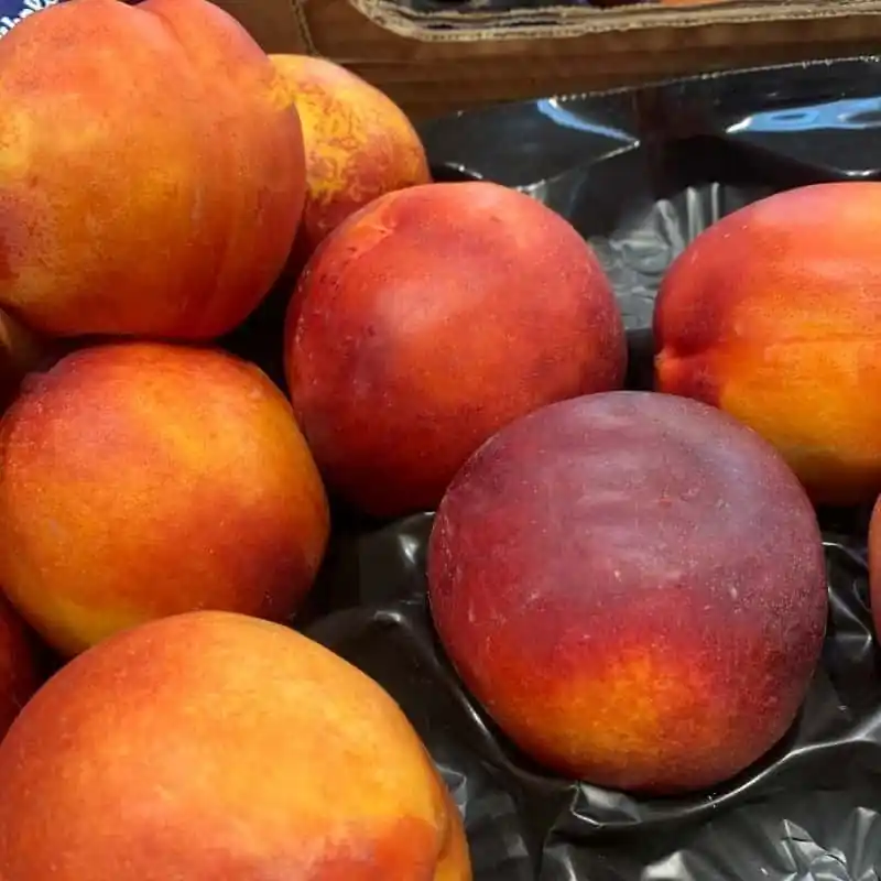 Nectarina carne amarilla De Moda