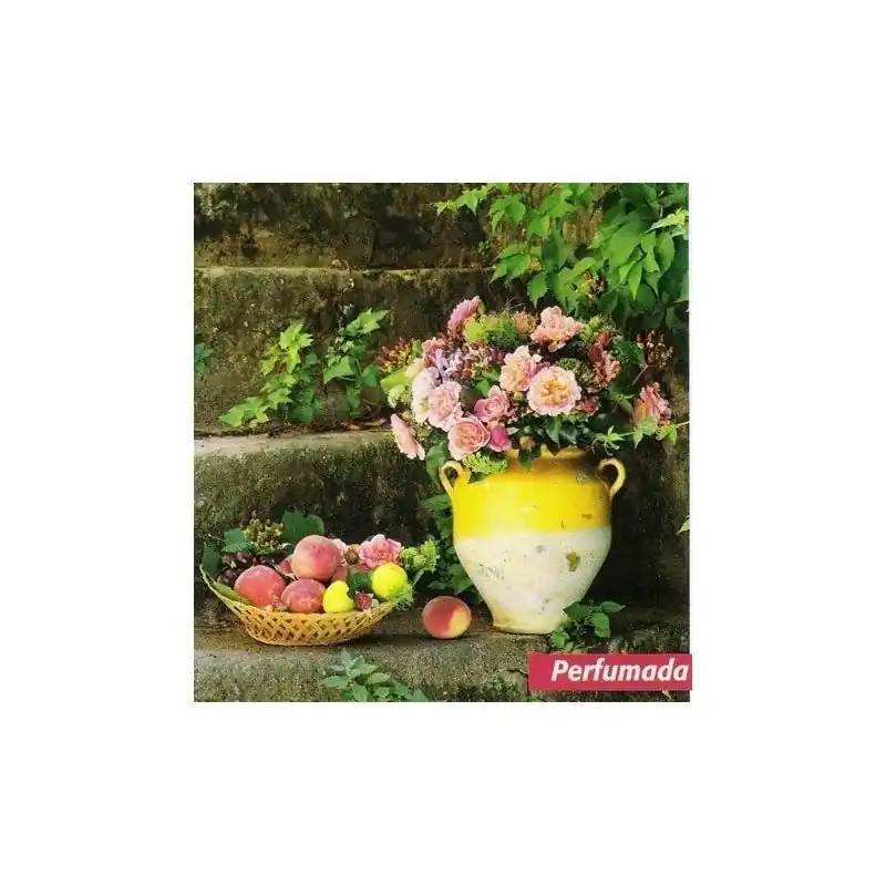 Liquidación Rosa Marie Curie