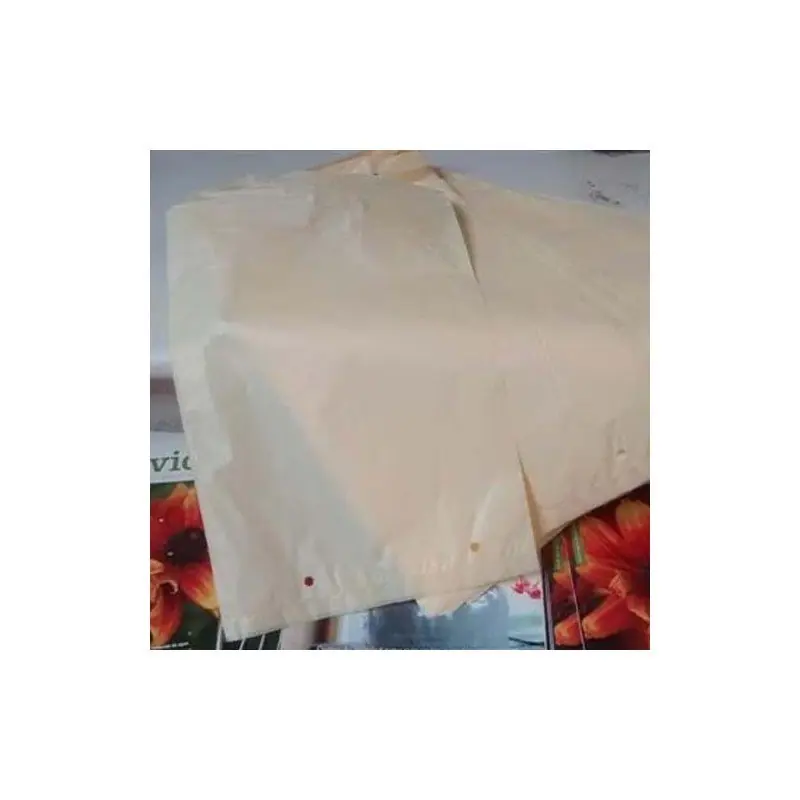 Profesional Bolsas para uva cerradas PE 26x40 cm