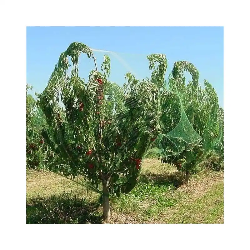 Precio Económico Malla antipájaros verde