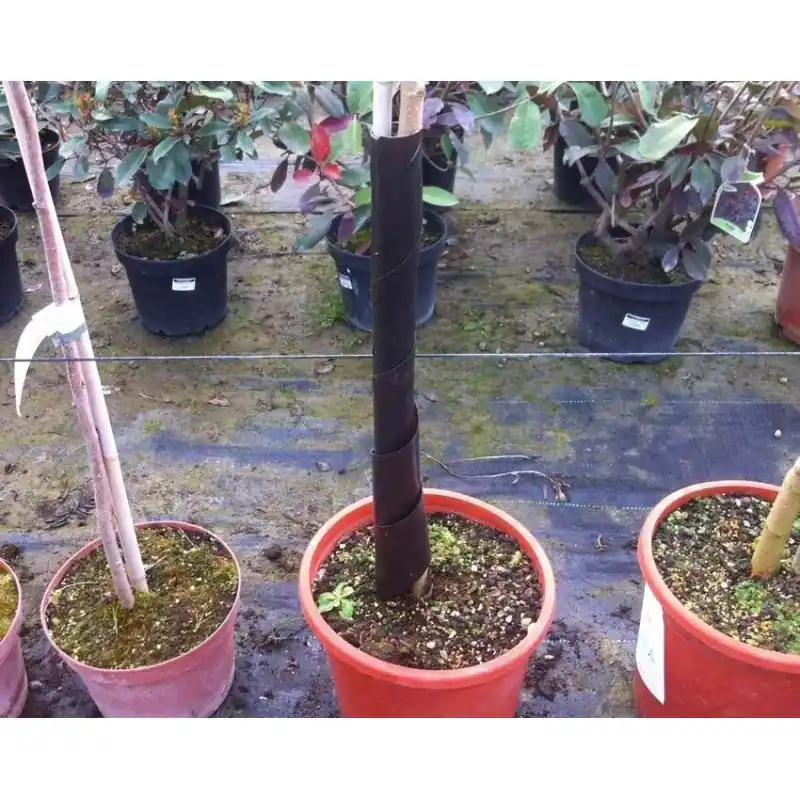 Oferta Limitada Protector de plantas 10 ud